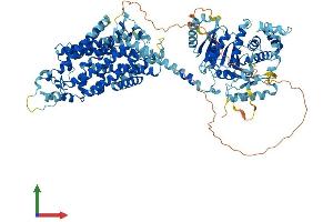 AlphaFold protein structure predicition of Mouse Recombinant Slc12a3 Protein, UniprotID P59158