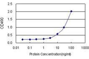 Sandwich ELISA detection sensitivity ranging from 3 ng/mL to 100 ng/mL. (EGFL7 (Humain) Matched Antibody Pair)