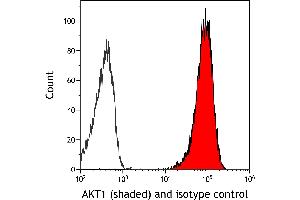 Flow Cytometry (FACS) image for anti-V-Akt Murine Thymoma Viral Oncogene Homolog 1 (AKT1) (AA 100-150) antibody (ABIN7795633) (Recombinant AKT1 anticorps  (AA 100-150))