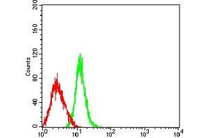 Flow cytometric analysis of HL-60 cells using CD63 mouse mAb (green) and negative control (red).