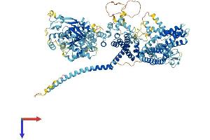 AlphaFold protein structure predicition of Mouse Recombinant Trpm4 Protein, UniprotID Q7TN37
