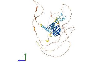 AlphaFold protein structure predicition of Mouse Recombinant Cnot4 Protein, UniprotID Q8BT14