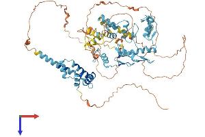 AlphaFold protein structure predicition of Human Recombinant ZNF263 Protein, UniprotID O14978
