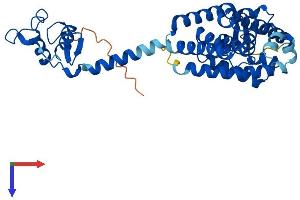 AlphaFold protein structure predicition of Mouse Recombinant Nr1i3 Protein, UniprotID O35627