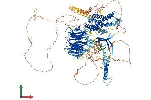 AlphaFold protein structure predicition of Mouse Recombinant Arhgef10l Protein, UniprotID A2AWP8