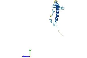 AlphaFold protein structure predicition of Human Recombinant CBY1 Protein, UniprotID Q9Y3M2