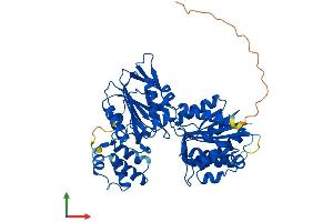 AlphaFold protein structure predicition of Mouse Recombinant Glyctk Protein, UniprotID Q8QZY2