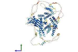 AlphaFold protein structure predicition of Human Recombinant CC2D1A Protein, UniprotID Q6P1N0