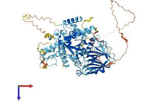 AlphaFold protein structure predicition of Mouse Recombinant Noa1 Protein, UniprotID Q9JJG9