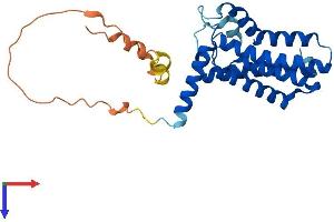 AlphaFold protein structure predicition of Human Recombinant PLPP7 Protein, UniprotID Q8NBV4