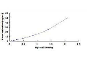 Pyruvate Kinase, Liver and RBC (PKLR) ELISA Kit