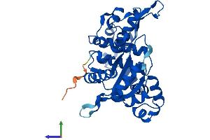 AlphaFold protein structure predicition of Mouse Recombinant Polb Protein, UniprotID Q8K409