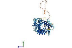 AlphaFold protein structure predicition of Human Recombinant SLC25A46 Protein, UniprotID Q96AG3