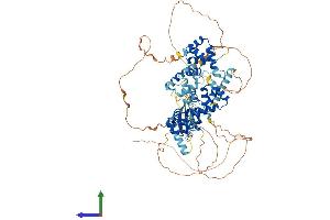 AlphaFold protein structure predicition of Human Recombinant SATB2 Protein, UniprotID Q9UPW6