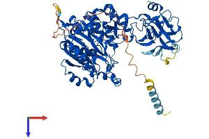 AlphaFold protein structure predicition of Mouse Recombinant Galnt10 Protein, UniprotID Q6P9S7