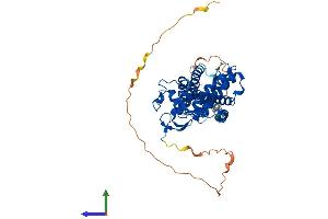 AlphaFold protein structure predicition of Human Recombinant NR1H2 Protein, UniprotID P55055