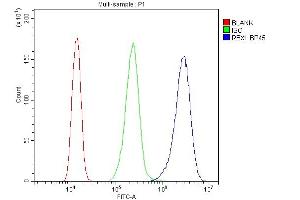 Flow Cytometry analysis of A431 cells using anti-ROC1 antibody (ABIN3043566).