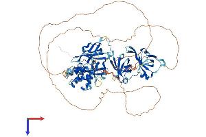 AlphaFold protein structure predicition of Human Recombinant IFI16 Protein, UniprotID Q16666