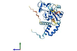 AlphaFold protein structure predicition of Mouse Recombinant Fam221a Protein, UniprotID Q8C790