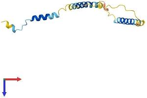 AlphaFold protein structure predicition of Human Recombinant EEF1DP3 Protein, UniprotID Q658K8