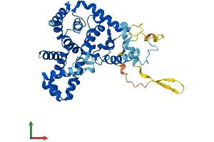 AlphaFold protein structure predicition of Human Recombinant TBC1D13 Protein, UniprotID Q9NVG8
