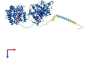 AlphaFold protein structure predicition of Human Recombinant KLB Protein, UniprotID Q86Z14