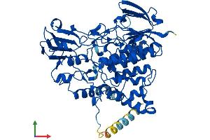 AlphaFold protein structure predicition of Mouse Recombinant Fmo5 Protein, UniprotID P97872