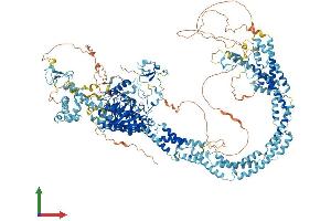 AlphaFold protein structure predicition of Mouse Recombinant Kdm5b Protein, UniprotID Q80Y84