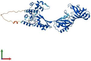 AlphaFold protein structure predicition of Human Recombinant PUS10 Protein, UniprotID Q3MIT2