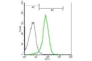 Mouse splenocytes probed with Rabbit Anti-IL-27RA Polyclonal Antibody, Unconjugated .