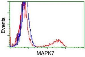HEK293T cells transfected with either RC203506 overexpress plasmid (Red) or empty vector control plasmid (Blue) were immunostained by anti-MAPK7 antibody (ABIN2454064), and then analyzed by flow cytometry. (MAPK7 anticorps)