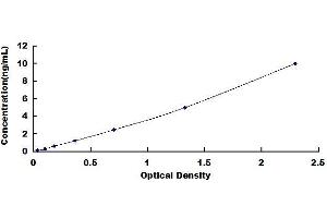 Typical standard curve (KYNU Kit ELISA)