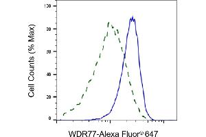 Validation of WDR77 knockdown using flow cytometry. (WDR77 anticorps)
