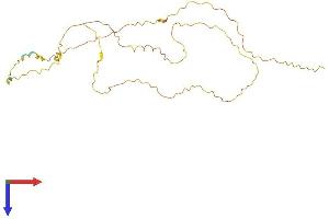 AlphaFold protein structure predicition of Mouse Recombinant Srsf12 Protein, UniprotID Q8C8K3