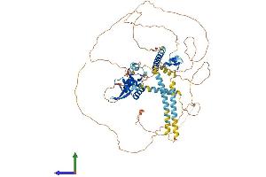 AlphaFold protein structure predicition of Human Recombinant FOXP4 Protein, UniprotID Q8IVH2