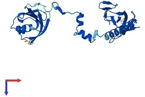 AlphaFold protein structure predicition of Human Recombinant TBCB Protein, UniprotID Q99426