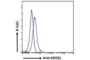 ABIN184575 Flow cytometric analysis of paraformaldehyde fixed HEK293 cells (blue line), permeabilized with 0. (SOCS1 anticorps  (C-Term))