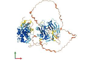 AlphaFold protein structure predicition of Human Recombinant MAP4K1 Protein, UniprotID Q92918