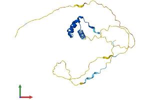 AlphaFold protein structure predicition of Mouse Recombinant Prop1 Protein, UniprotID P97458