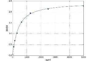 Hephaestin (HEPH) ELISA Kit
