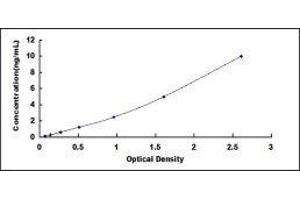 Aquaporin 5 (AQP5) ELISA Kit