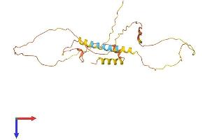 AlphaFold protein structure predicition of Human Recombinant MDFI Protein, UniprotID Q99750
