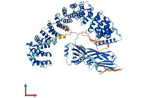 AlphaFold protein structure predicition of Mouse Recombinant Ap2a1 Protein, UniprotID P17426