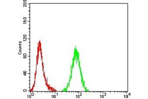 Flow cytometric analysis of Hela cells using DFFB mouse mAb (green) and negative control (red).