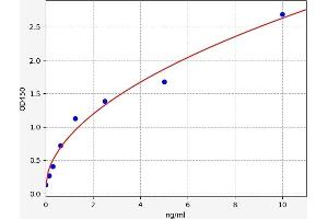 Annexin A1 (ANXA1) ELISA Kit