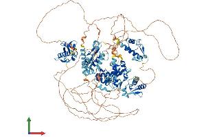 AlphaFold protein structure predicition of Mouse Recombinant Gtf2ird1 Protein, UniprotID Q9JI57
