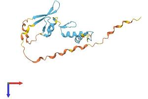 AlphaFold protein structure predicition of Human Recombinant ZNF580 Protein, UniprotID Q9UK33