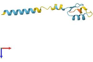 AlphaFold protein structure predicition of Human Recombinant ZNF706 Protein, UniprotID Q9Y5V0