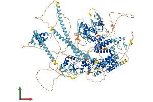 AlphaFold protein structure predicition of Mouse Recombinant Baz1b Protein, UniprotID Q9Z277