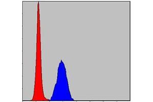 Flow cytometric analysis of Hela cells using MAPK3 mouse mAb (blue) and negative control (red).